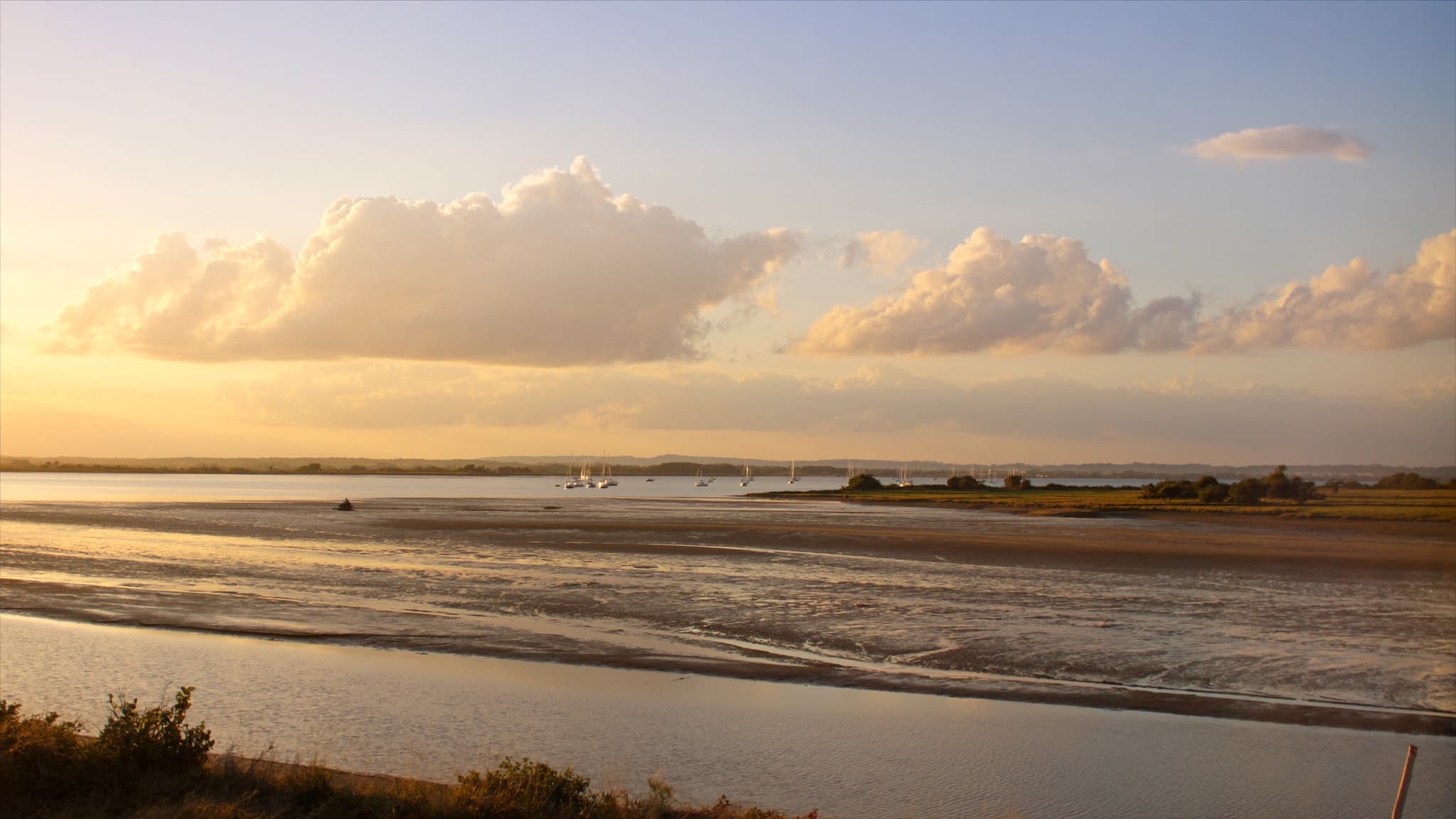 Chichester harbour in summer